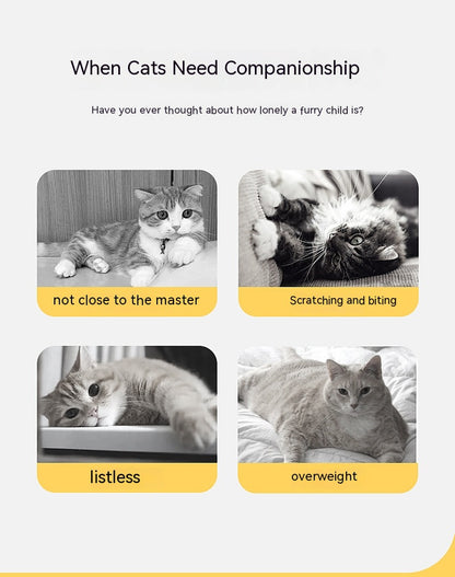 Folded Cat Tunnel S Type Cats Tunnel Spring Toy Mouse Tunnel Cat Outdoor Cat Toys for Kitten Interactive Cat Supplies